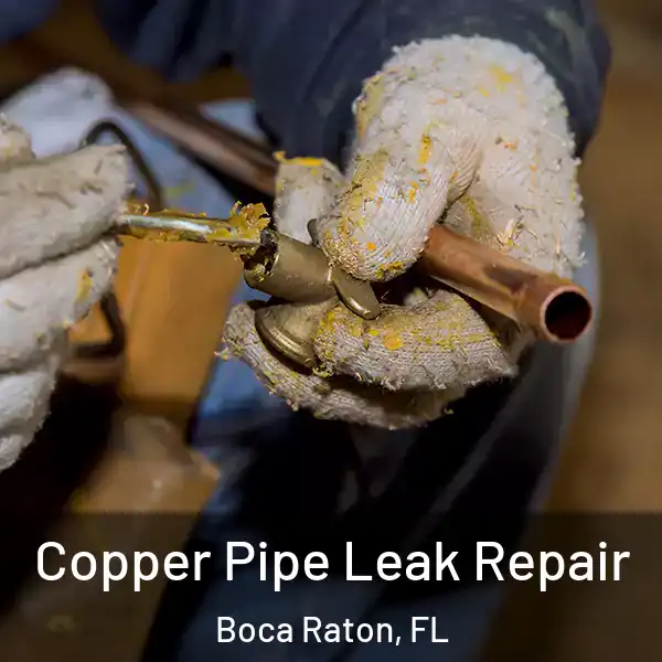  Copper Pipe Leak Repair Boca Raton, FL