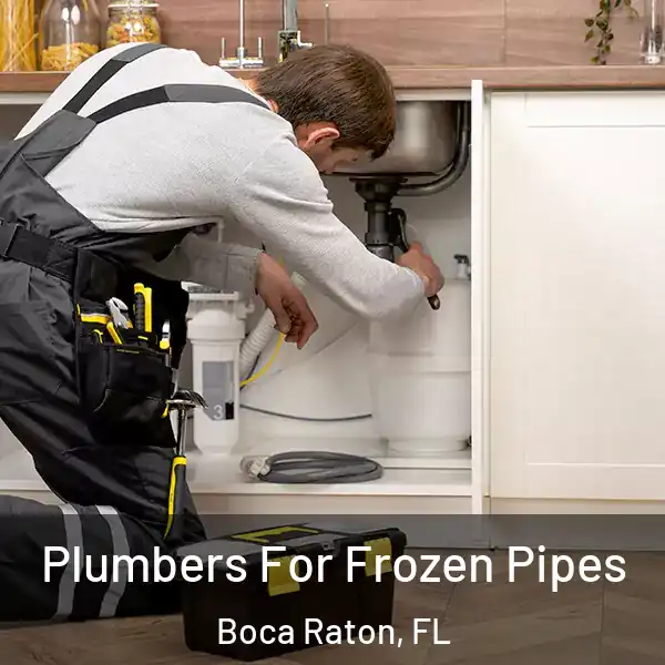  Plumbers For Frozen Pipes Boca Raton, FL