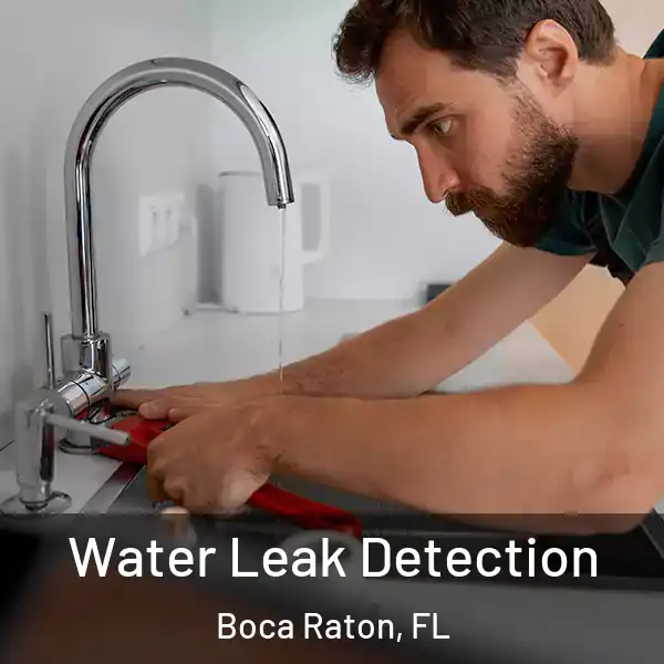  Water Leak Detection Boca Raton, FL
