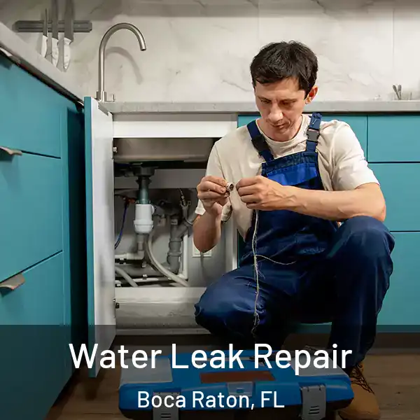  Water Leak Repair Boca Raton, FL